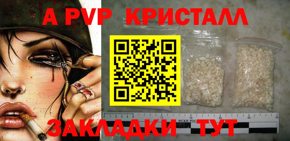 A PVP СК КРИС Саратов