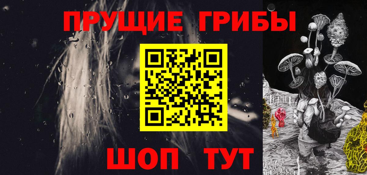 Галлюциногенные грибы Psilocybe  Псилоцибиновые грибы мицелий  Вход с VPN  Саратов 