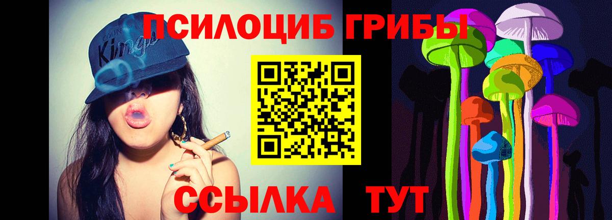 Псилоцибиновые грибы мицелий Саратов